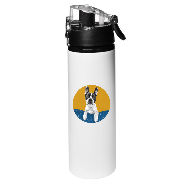 Lahev Boston Terrier